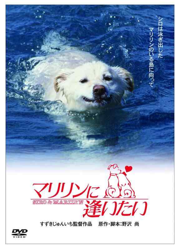 【中古】<あの頃映画> マリリンに逢いたい [DVD]
