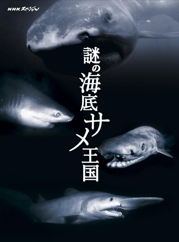 樂天商城 - 【中古】NHKスペシャル 謎の海底サメ王国 [DVD]