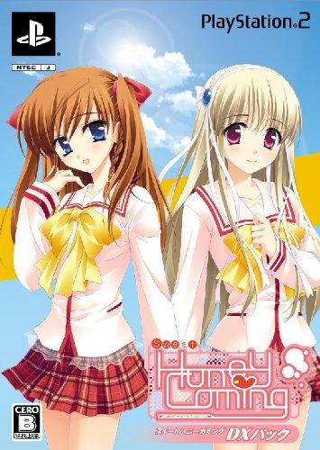 ����šۥ������� �ϥˡ� ���ߥ� DX�ѥå�