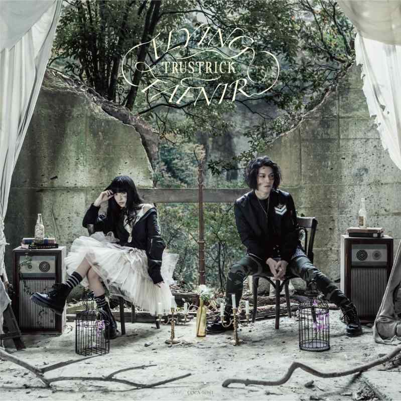 FLYING FAFNIR(Type-B)