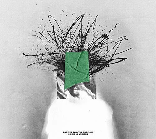 【中古】Inside Your Head(初回生産盤)(DVD付)