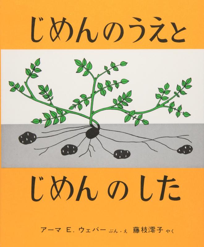 【中古】じめんのうえと じめんのした (福音館の科学シリーズ)