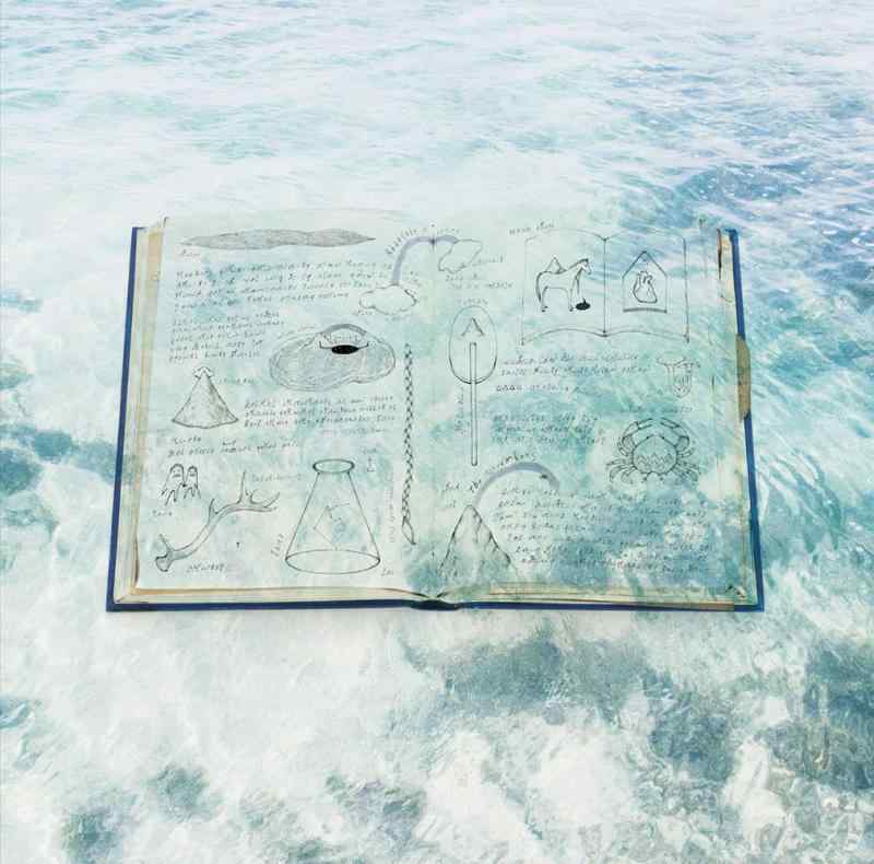 【中古】Rhapsody in beauty - THE NOVEMBERS