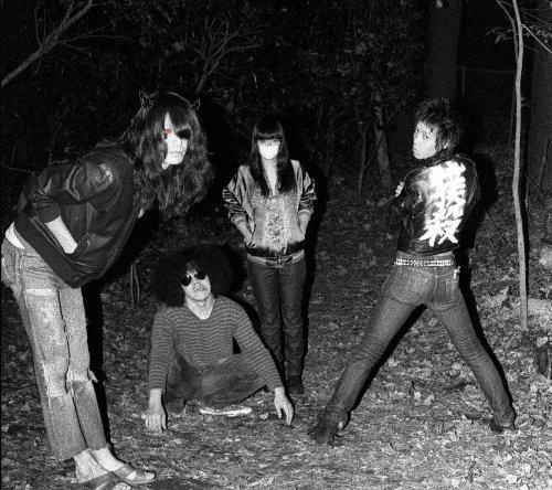 楽天市場】フェトウス FOTUSの通販