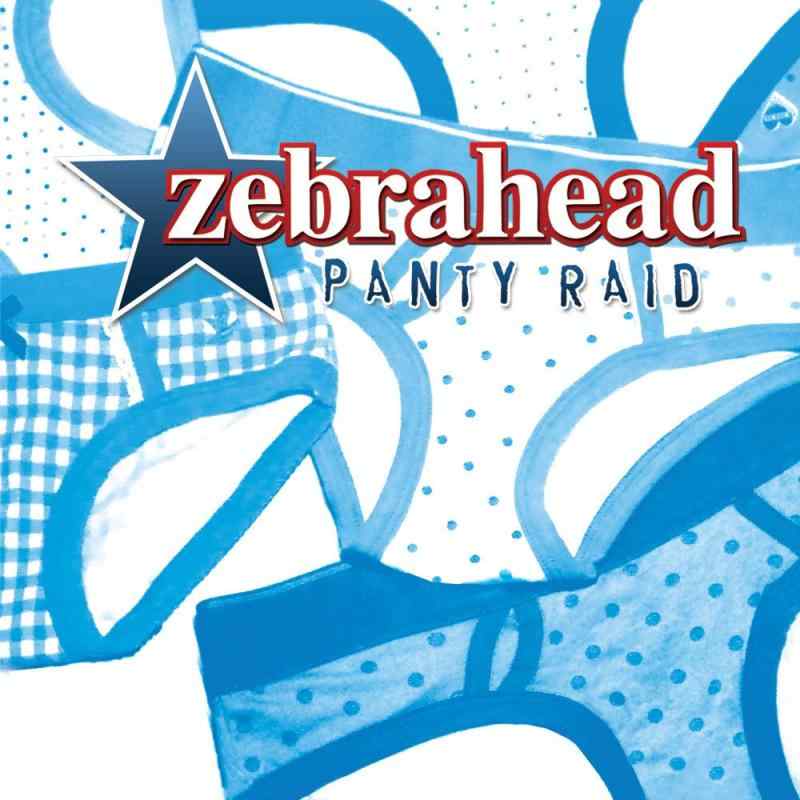 【中古】パンティー・レイド - ゼブラヘッド