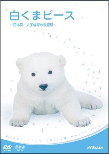 【中古】白くまピース ~日本初・人工哺育の全記録~