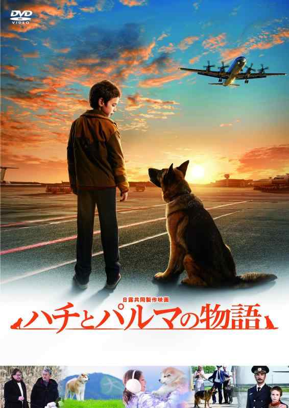 【中古】ハチとパルマの物語 [DVD]