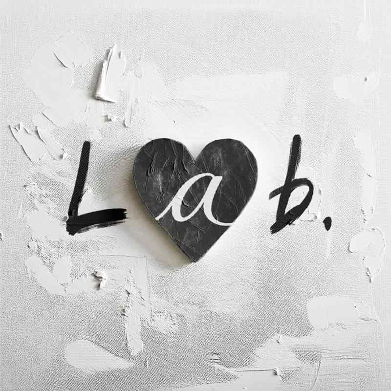 【中古】Lab.(初回盤) - gogovanillas (特典なし)