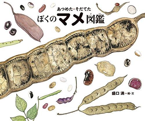 【中古】ちしきのぽけっと (21) あつめた そだてたぼくのマメ図鑑