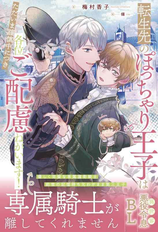【中古】転生先のぽっちゃり王子はただいま謹慎中につき各位ご配慮ねがいます (アンダルシュノベルズ)