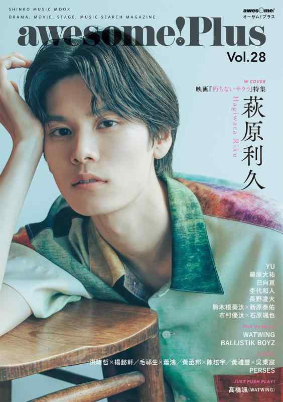 【中古】awesome Plus(オーサム プラス) Vol.28 (SHINKO MUSIC MOOK)
