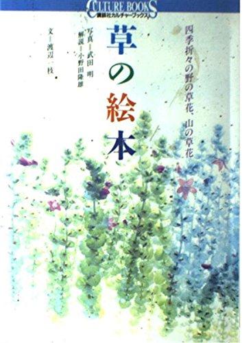 【中古】草の絵本: 四季折々の野の草花、山の草花 (講談社カルチャーブックス 56)