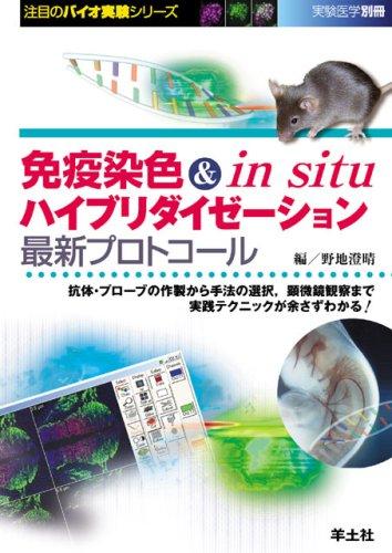 【中古】免疫染色 &amp; in situハイブリダイゼーション最新プロトコール―抗体・プローブの作製から手法の選択,顕微鏡観察まで実践テクニックが余さずわかる (注目のバイオ実験シリーズ) (実験医学