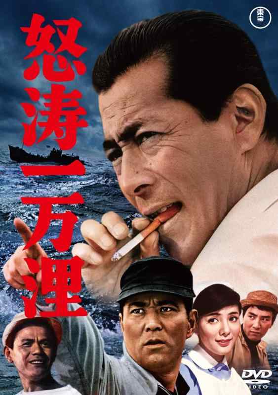 【中古】怒涛一万浬<東宝DVD名作セレクション> [DVD]