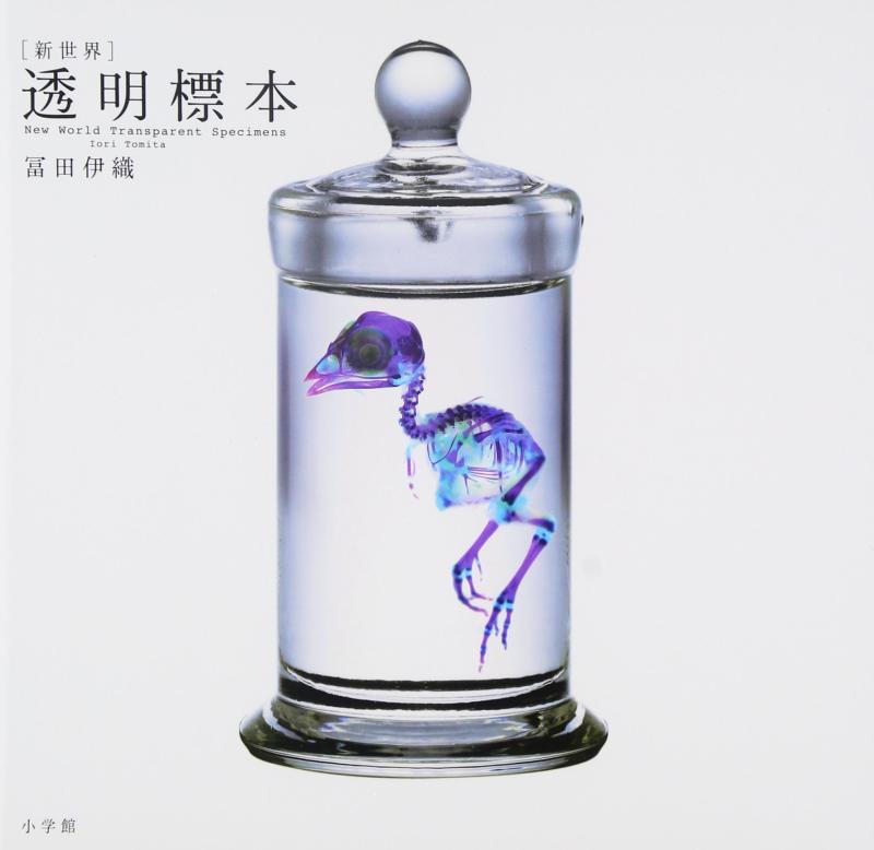 透明標本~New World Transparent Specimen~