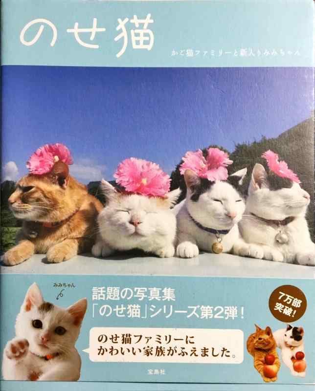 【中古】のせ猫 かご猫ファミリーと新入りみみちゃん