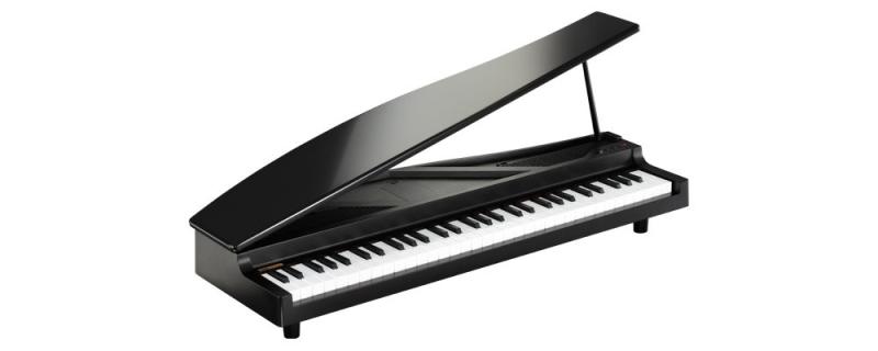 KORG MICROPIANO マイクロピアノ ミニ鍵盤61鍵