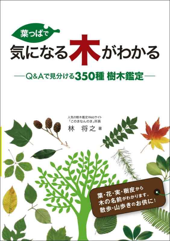 【中古】葉っぱで気になる木がわかる