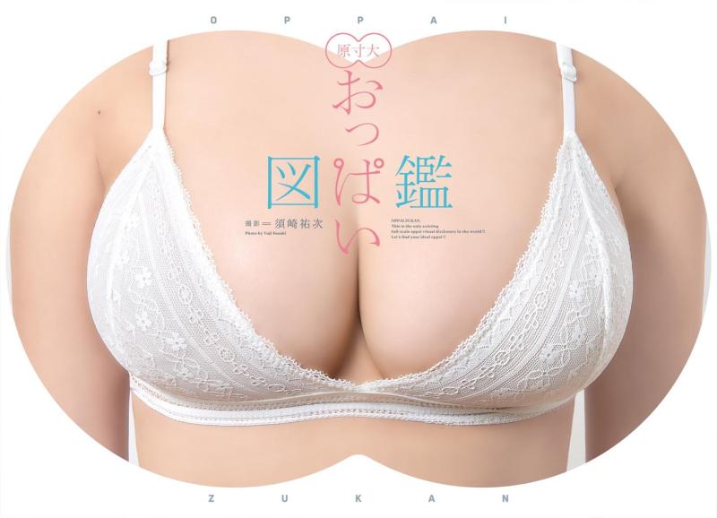おっぱい図鑑 2冊セット 楽天市場】おっぱい大図鑑の通販