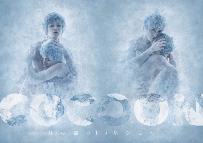 【中古】『COCOON』星ひとつ(特典なし) DVD