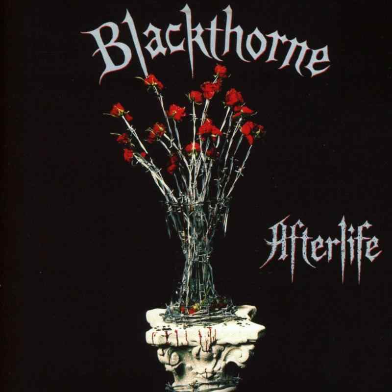 【中古】AFTERLIFE: EXPANDED EDITION