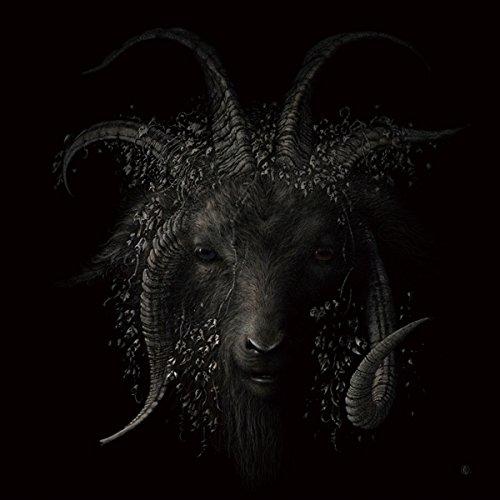 Rakuten - 【中古】Lost in Forest