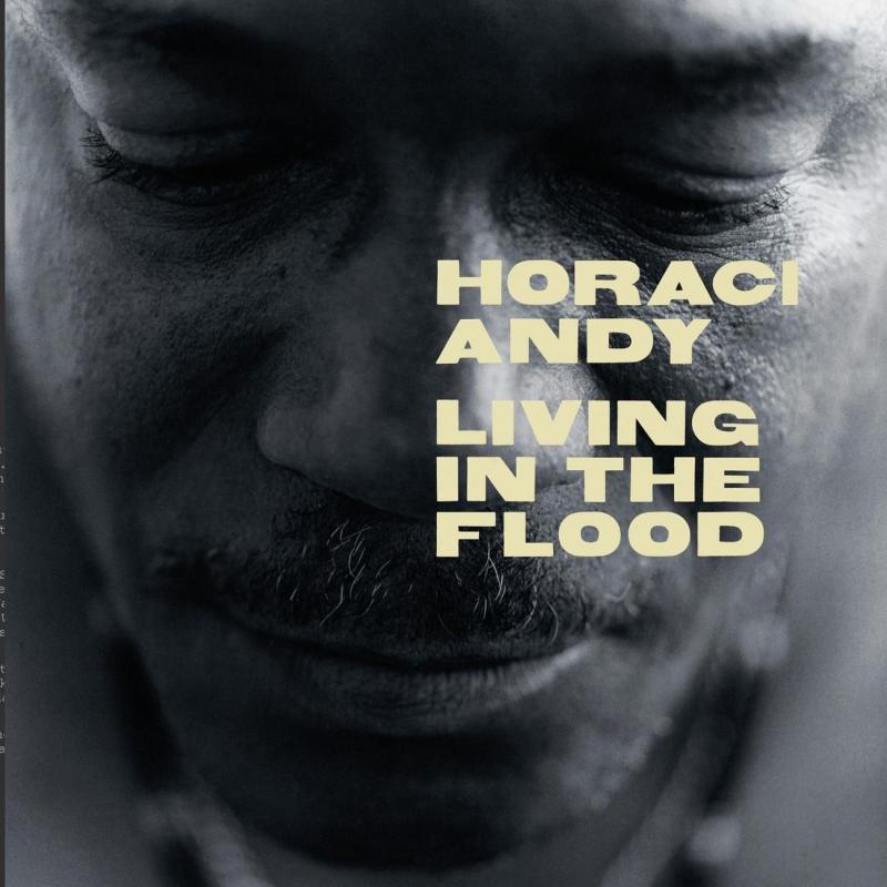 Rakuten - 【中古】Living in the Flood