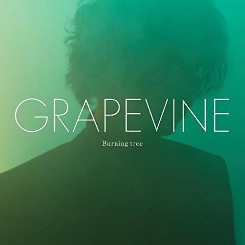 【中古】Burning tree (初回盤) - GRAPEVINE