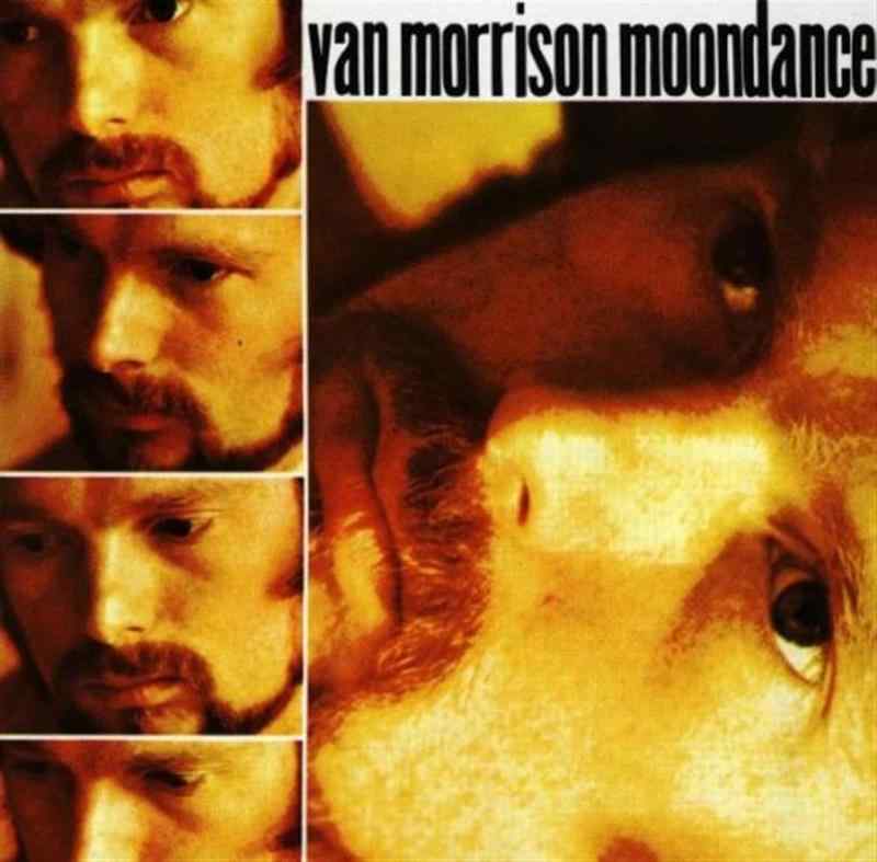 Toilet Articles - 【中古】Moondance
