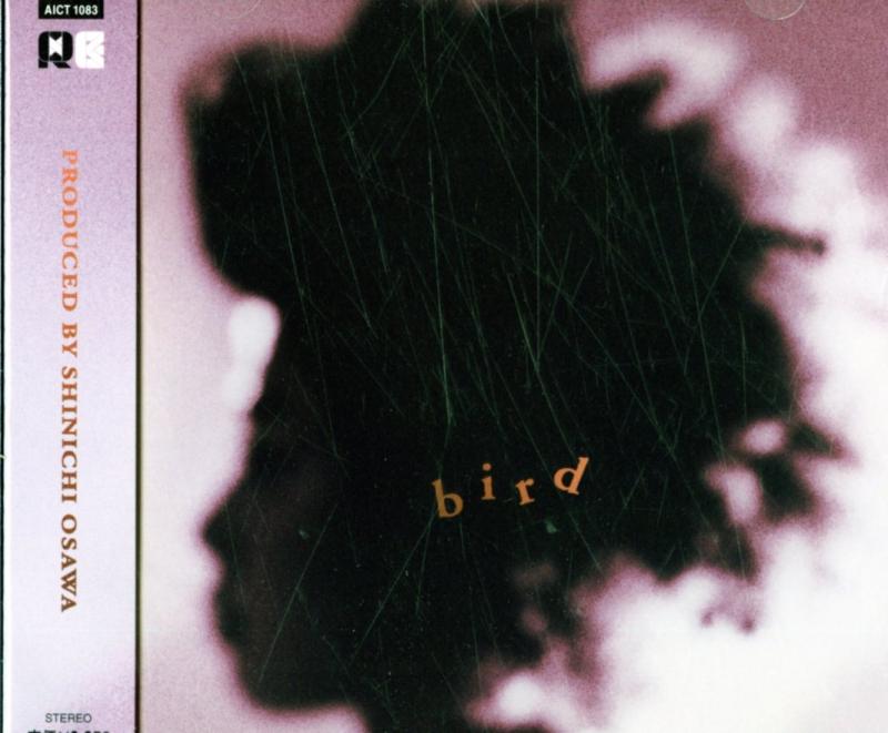 bird