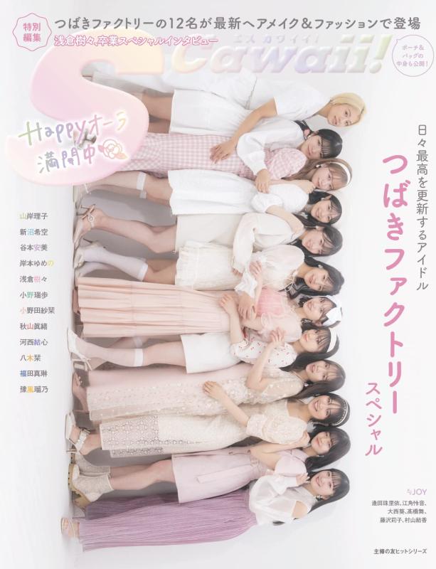 【中古】S Cawaii特別編集 つばきファクトリースペシャル (主婦の友ヒットシリーズ)