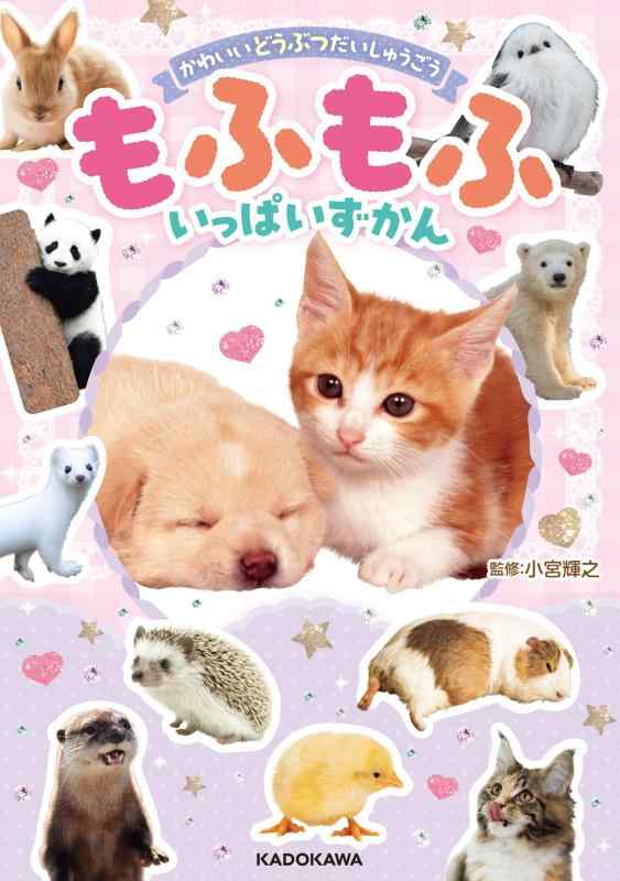 【中古】かわいいどうぶつだいしゅうごう もふもふいっぱいずかん sofapotato-10944919 ソファポテト パッケージ画像