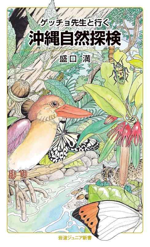 【中古】ゲッチョ先生と行く 沖縄自然探検 (岩波ジュニア新書 936) sofapotato-10946886 ソファポテト パッケージ画像