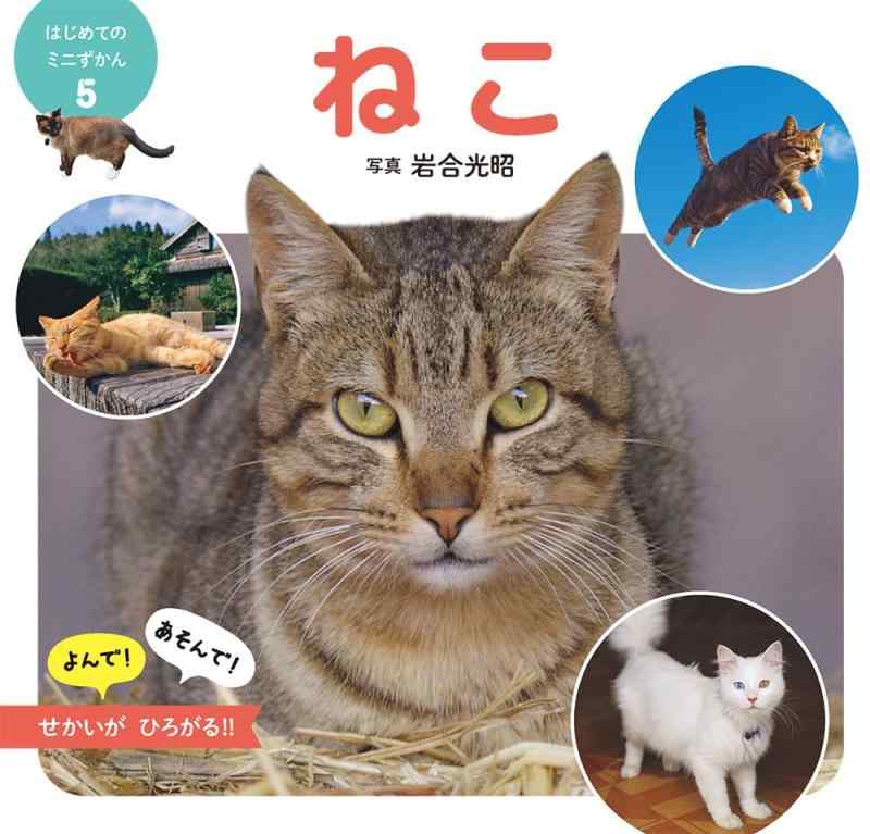 Rakuten - 【中古】ねこ (はじめてのミニずかん 5)