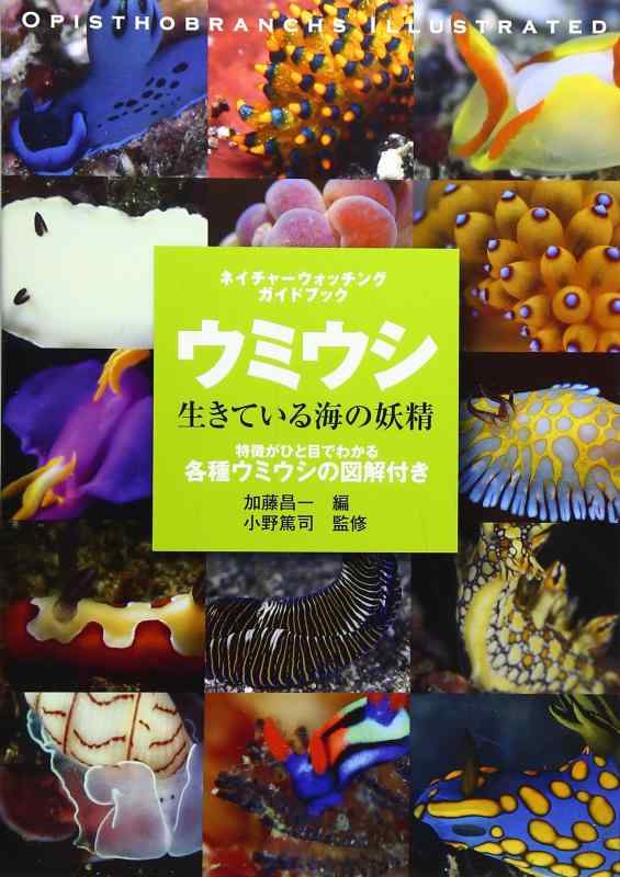 楽天市場】ウミウシ 特徴がひと目でわかる図解付き 1260種の通販