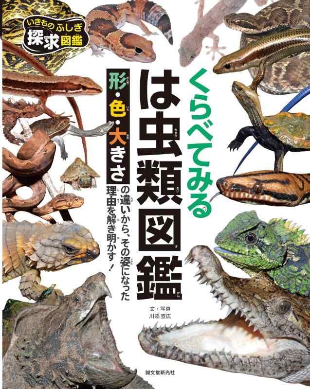 Rakuten - 【中古】くらべてみる は虫類図鑑: 形・色・大きさの違いから、その姿になった理由を解き明かす (いきものふしぎ探求図鑑)