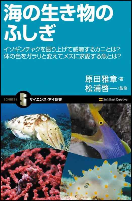乐天商城 - 【中古】海の生き物のふしぎ (サイエンス・アイ新書 122)