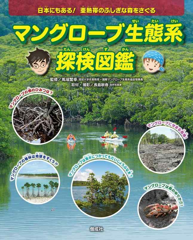 乐天商城 - 【中古】マングローブ生態系探検図鑑