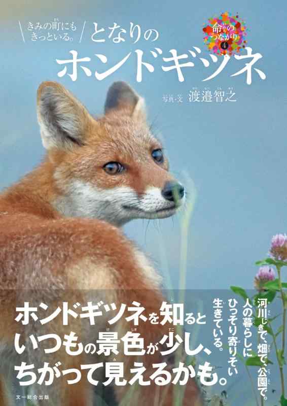【中古】きみの町にもきっといる。となりのホンドギツネ (命の