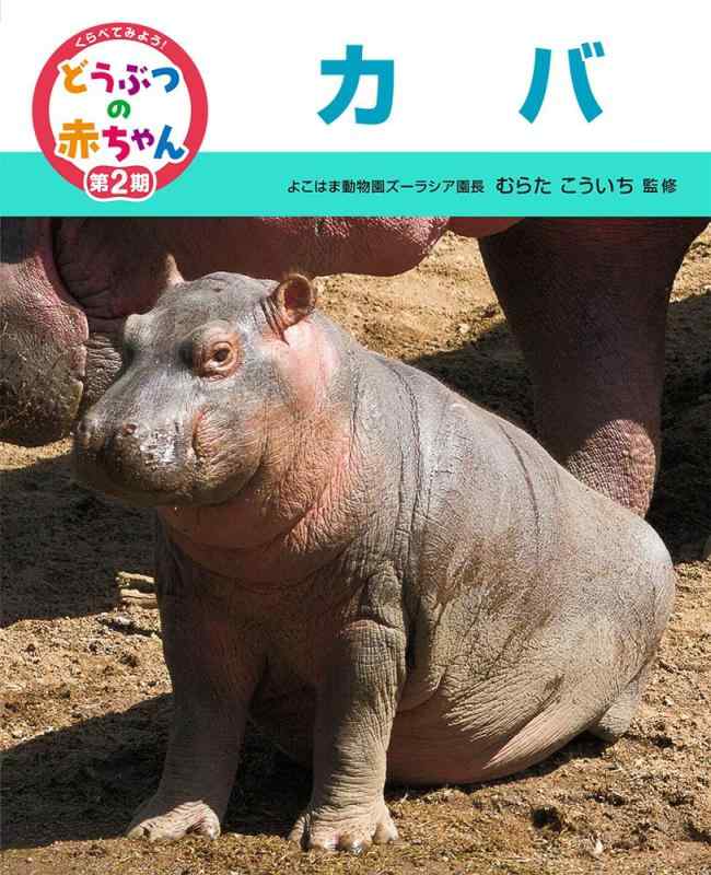 樂天商城 - 【中古】カバ