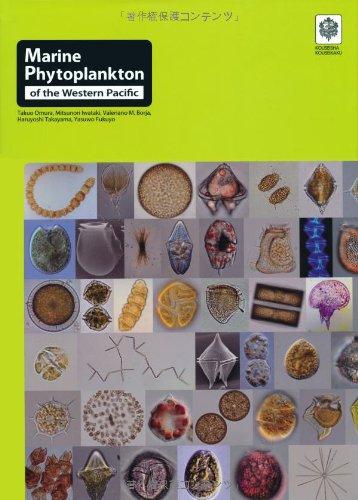 【中古】Marine Phytoplankton of theWestern Pacific
