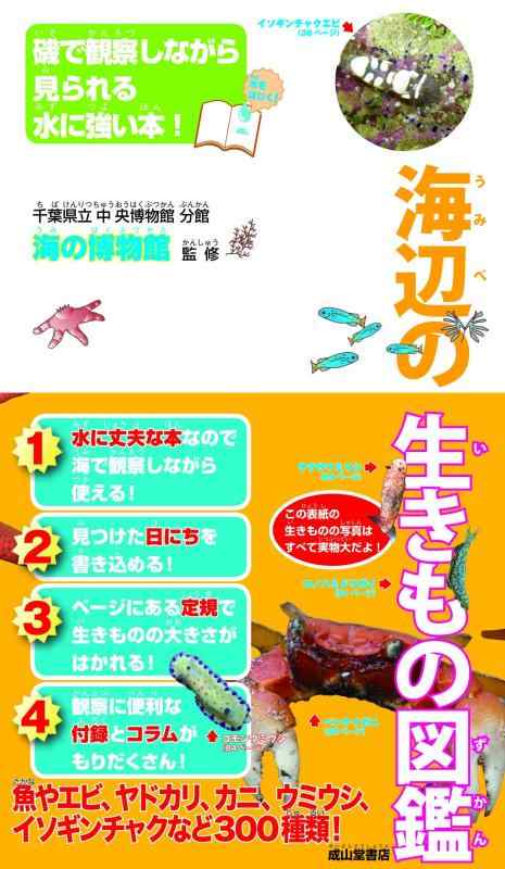 【中古】海辺の生きもの図鑑ー磯で観察しながら見られる水に強い本