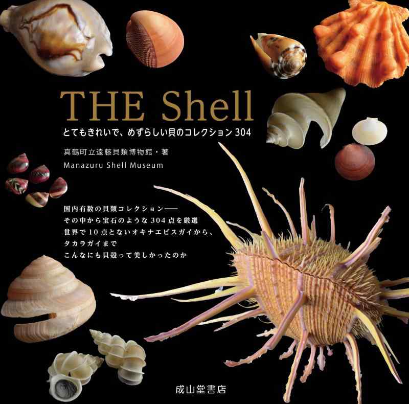 楽天市場】発掘 貝殻 コレクションの通販