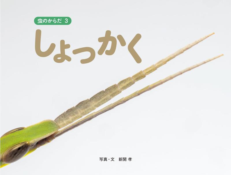 乐天商城 - 【中古】しょっかく (虫のからだ 3)