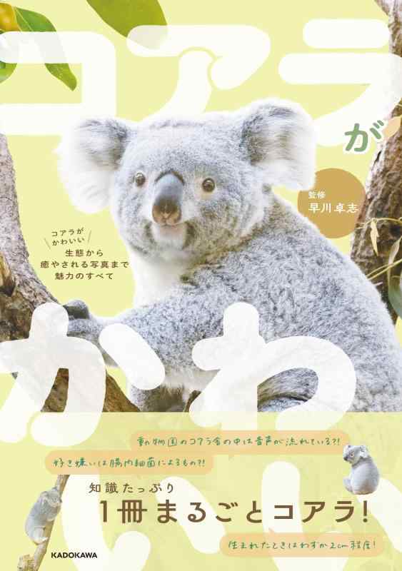 Rakuten - 【中古】コアラがかわいい 生態から癒やされる写真まで魅力のすべて