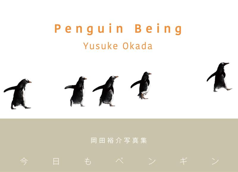 【中古】Penguin Being ー今日もペンギンー