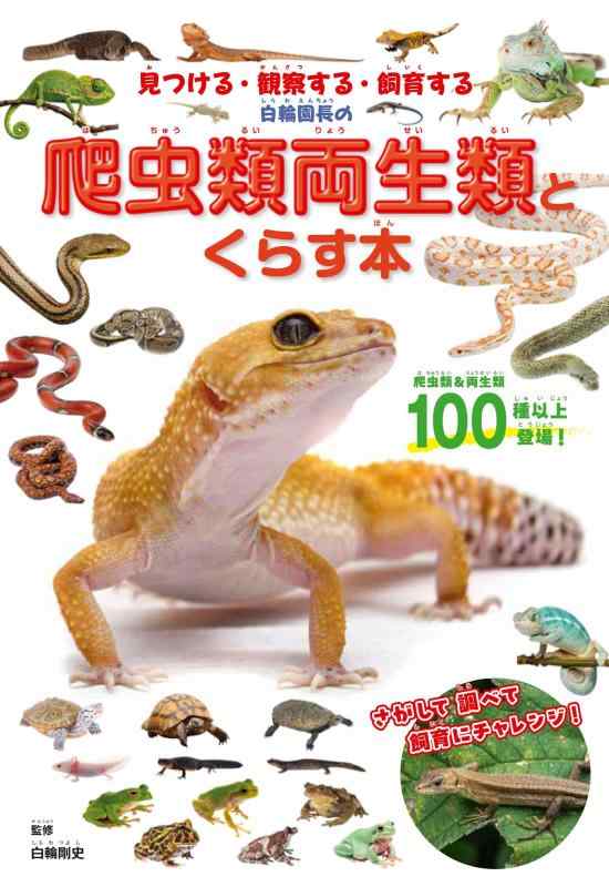 【中古】白輪園長の爬虫類両生類とくらす本