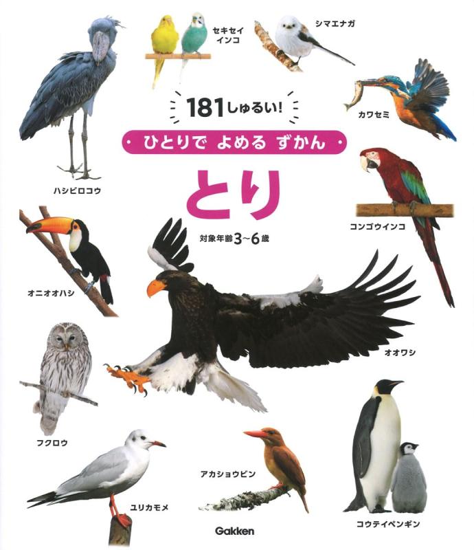 【中古】とり