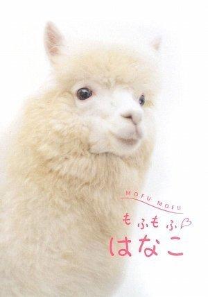 【中古】もふもふはなこ sofapotato-10952245 ソファポテト パッケージ画像
