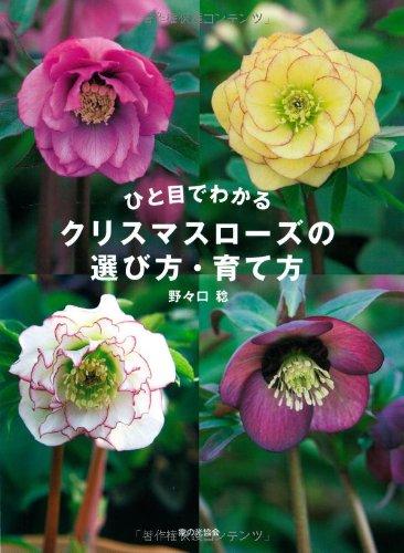 【中古】ひと目でわかる　クリスマスローズの選び方・育て方